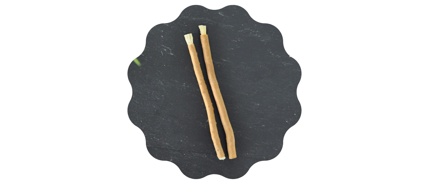 De Arak boom, in het Westen bekend als de boom van Profeet Mohammed